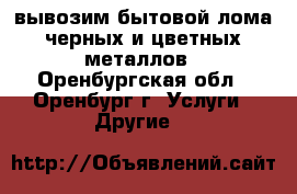 вывозим бытовой лома черных и цветных металлов - Оренбургская обл., Оренбург г. Услуги » Другие   